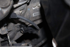 Honda-Accord-2009-Tempomat-AP900_1395