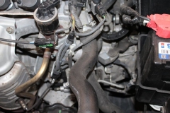 Honda-Accord-2009-Tempomat-AP900_1396
