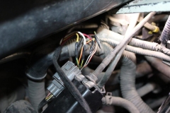 Honda-Civic-2005-Tempomat-AP900_1438