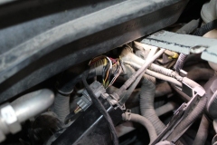 Honda-Civic-2005-Tempomat-AP900_1439