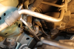 Honda-Jazz-2003-Tempomat-AP900_1494