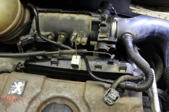 Peugeot-206-2002-Tempomat-AP500_3224