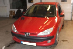 Peugeot-206-2002-Tempomat-AP500_3241