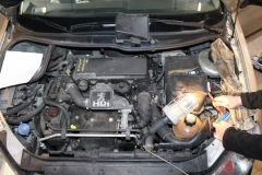 Peugeot-206-2005-Tempomat-AP900_3247