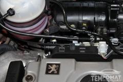 Peugeot 206 SW 2003 - Tempomat beszerelés (AP500)_18