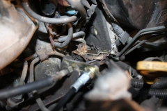 Toyota-Hiace-2000-Tempomat-AP500_4754
